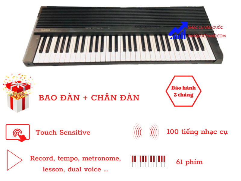 Đàn Organ Yamaha YDP-6