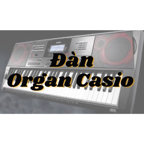 đàn Organ Casio - Hình 1