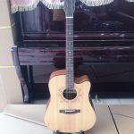 Đàn guitar acoustic nội địa Nhật