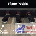 Pedal piano là gì? Công dụng và cách dùng bàn đạp piano