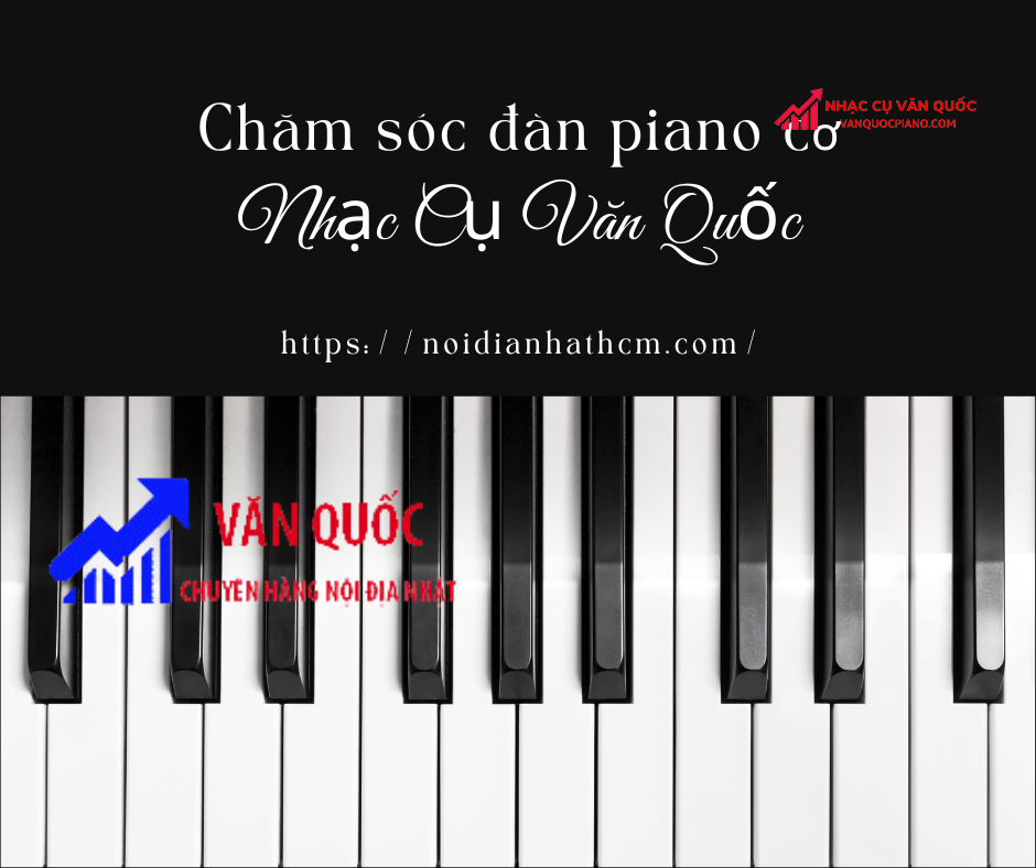 Đàn piano cơ cao cấp