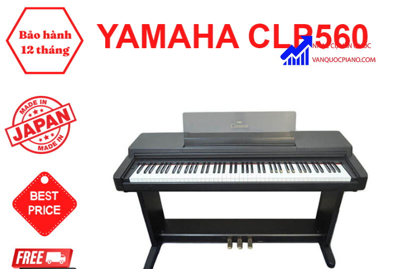 Trên thị trường hiện có 2 loại piano Yamaha điện và cơ