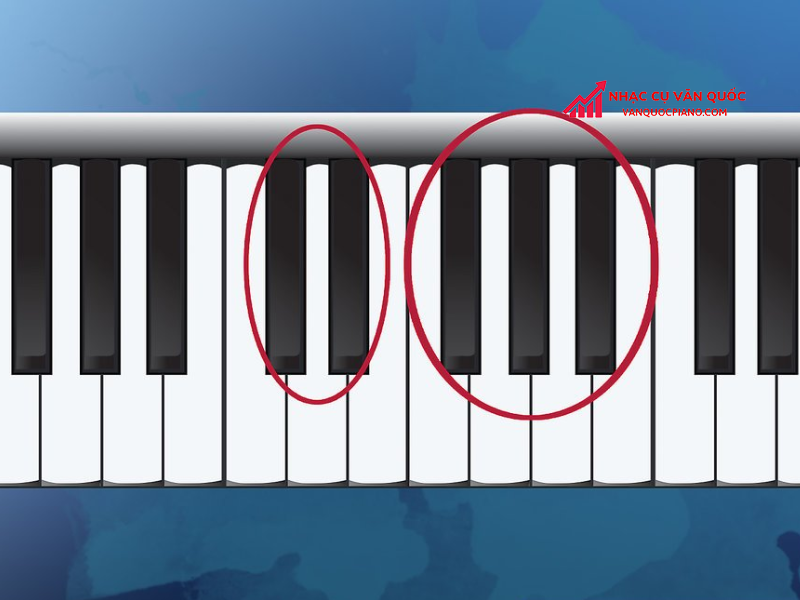 Đàn piano có bao nhiêu phím? Cách nhớ vị trí nốt nhạc đơn giản