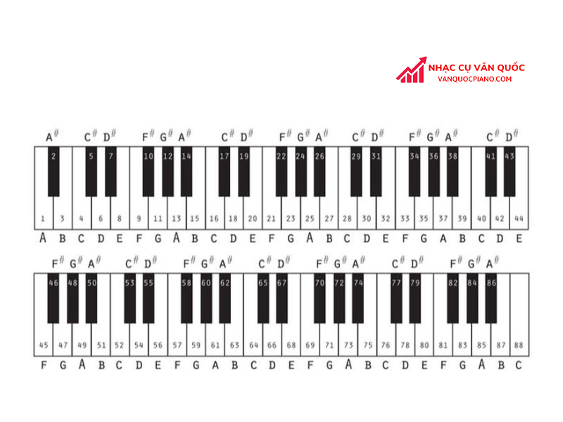 Tổng hợp các kiến thức nhạc lý piano cơ bản cần nắm vững
