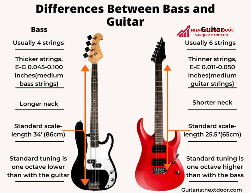 cấu tạo của guitar bass và guitar điện