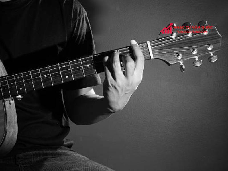 Khám phá 5 dáng đàn guitar acoustic Fender có thể bạn chưa biết