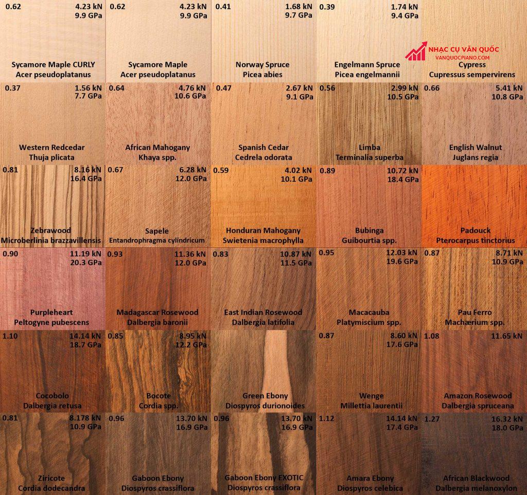Các loại gỗ thông dụng để làm đàn guitar