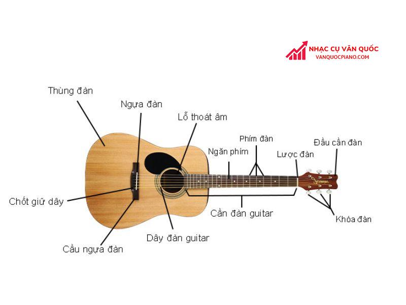 Cấu tạo đàn Guitar Acoustic