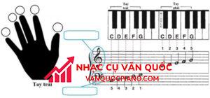 Vị trí các nốt nhạc trên đàn piano có thể bạn chưa biết