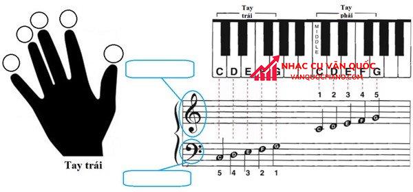 Vị trí các nốt nhạc trên đàn piano có thể bạn chưa biết